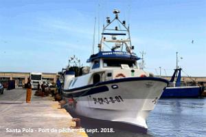 11 SANTA POLA PORT DE PECHE (96)